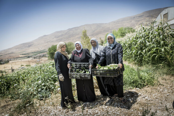 Fyra palestinska kvinnor står framför odlingar med korgar fyllda med grödor, bilden önskas symbolisera We effects långsiktiga samarbeten med hållbart och jämställt jordbruk samt kooperativ kraft.